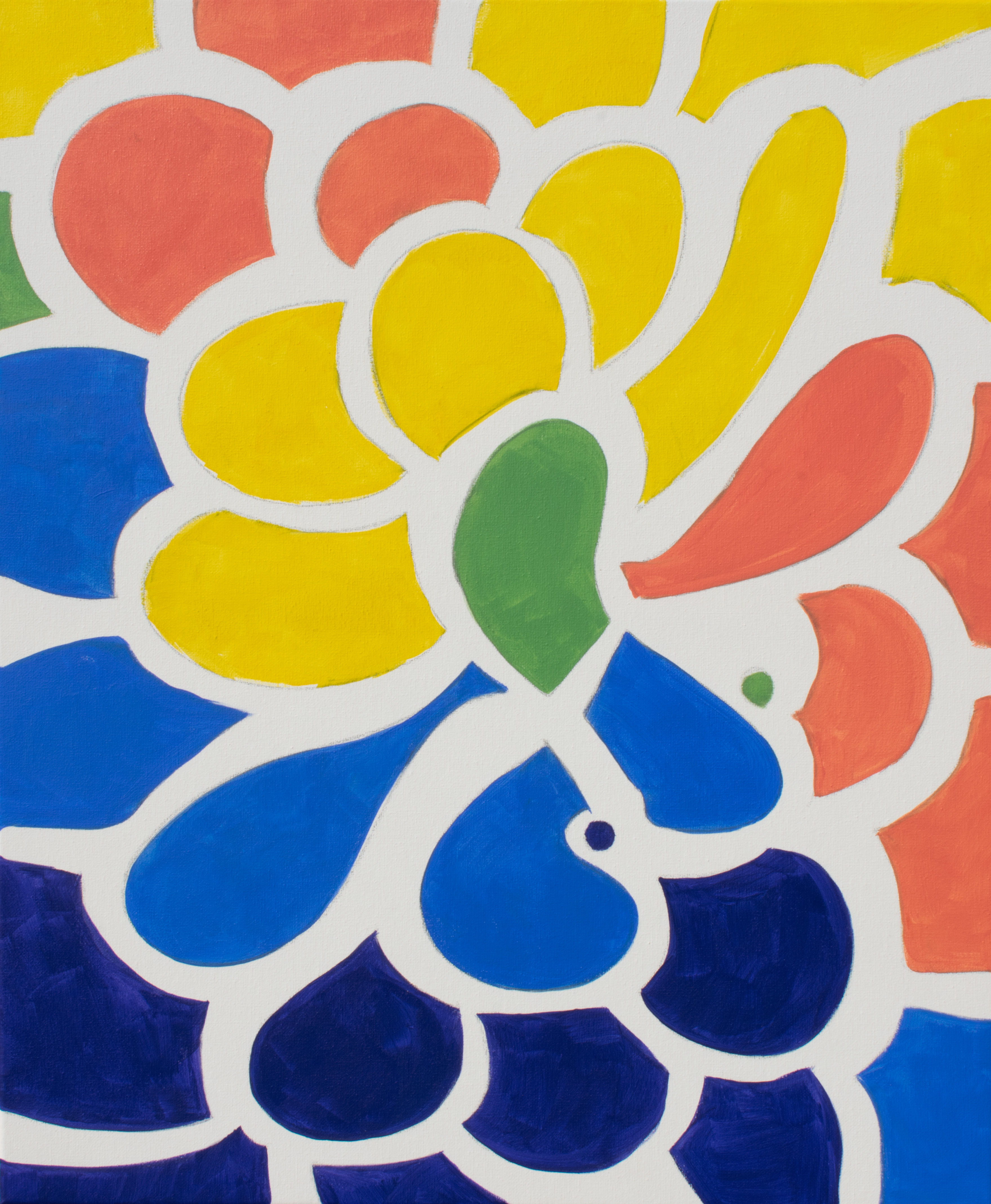 rainbow petals